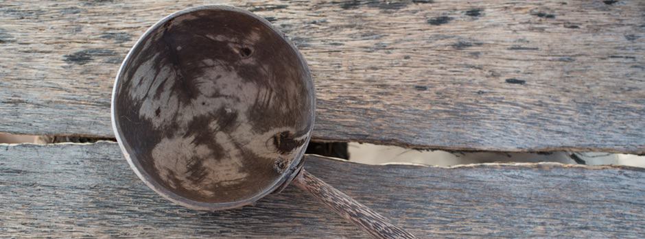water dipper water dipper